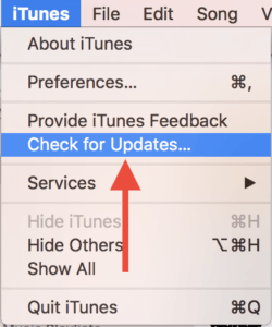 Check for iTunes updates