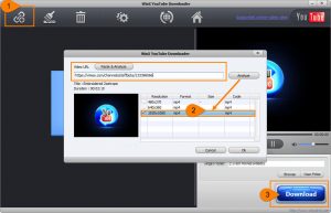 how to download vimeo videos