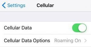 iphone cellular network settings