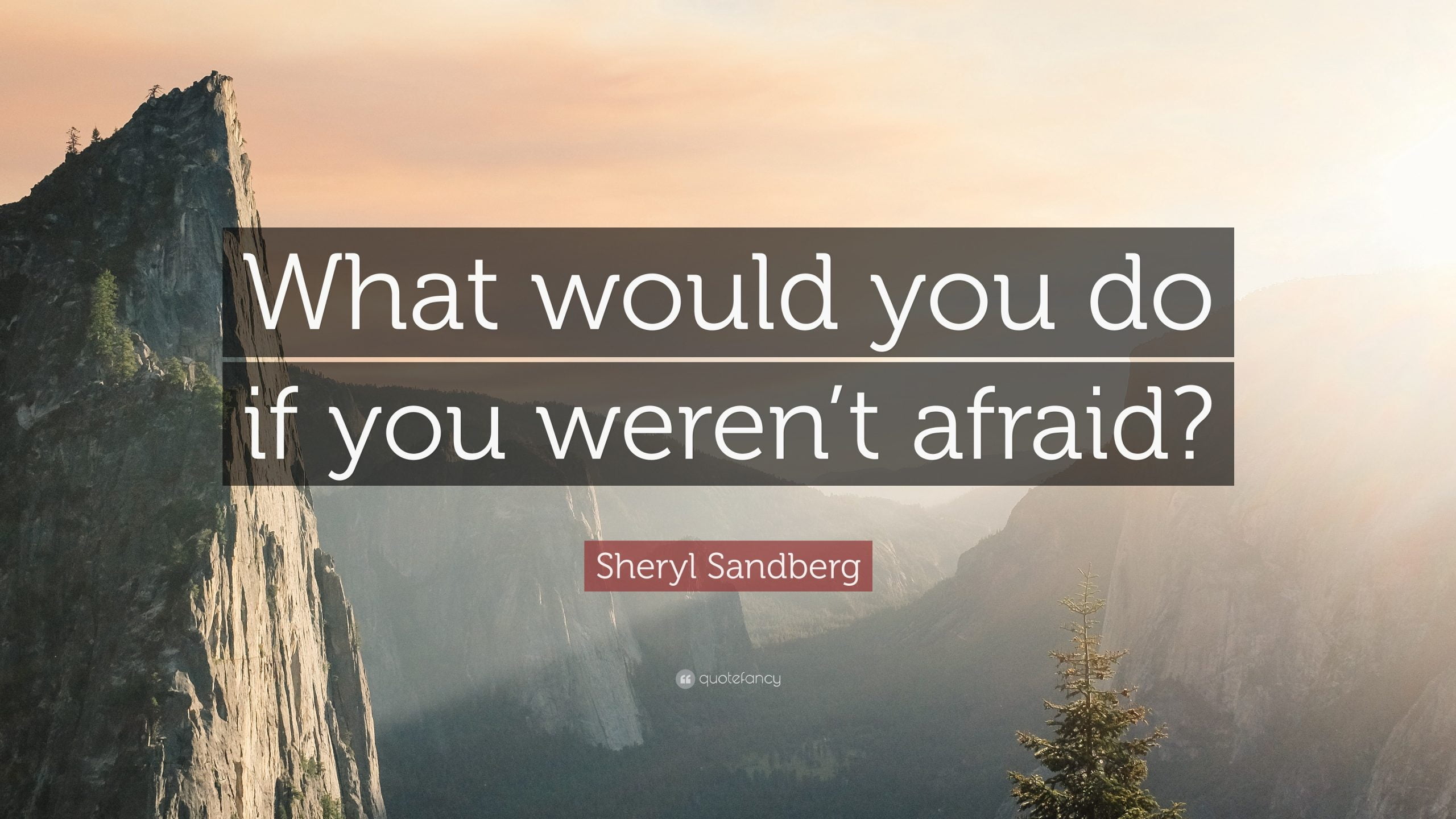 What Would You Do If