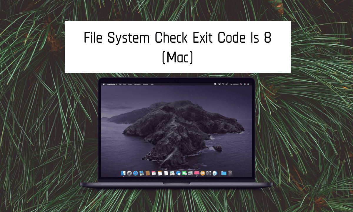 apple file system check exit code is 8 apple file system check exit code is 8
