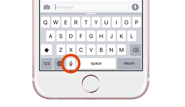 iPhone Voice To Text Not Working